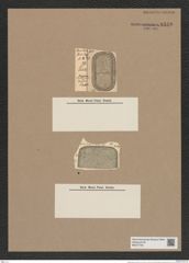 Stephanopyxis nuda Pant. (de-Toni-Nr.: Genus 187) Zeichnungen Sammlung Grunow Nr. 8310 (NHMW-BOT-W0377709)